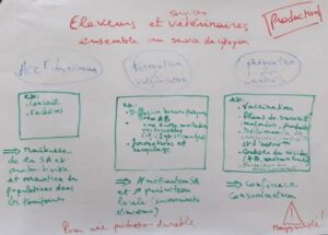 IMG-20231110-WA0009-3